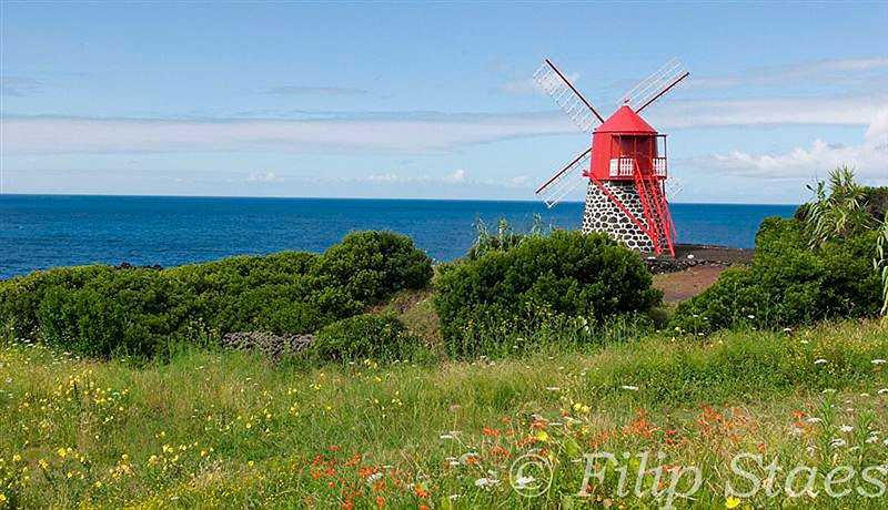 Windmill in Pico - Photo by Filip Staes