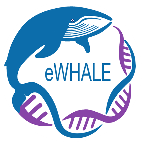 eWHALE Project - Siamo un Partner Commerciale ufficiale